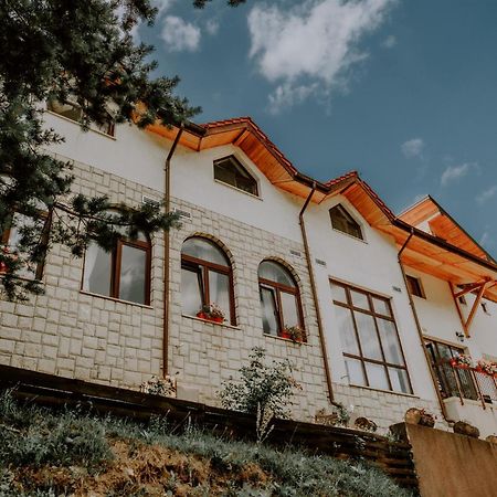 Pensiunea Poiana Verde Slanic Moldova Ngoại thất bức ảnh