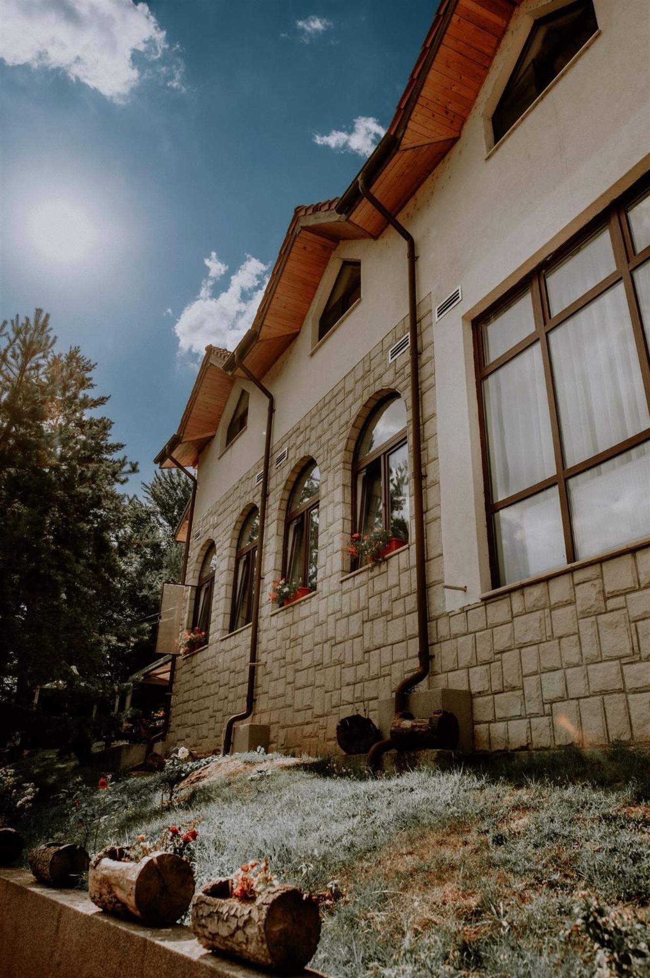 Pensiunea Poiana Verde Slanic Moldova Ngoại thất bức ảnh
