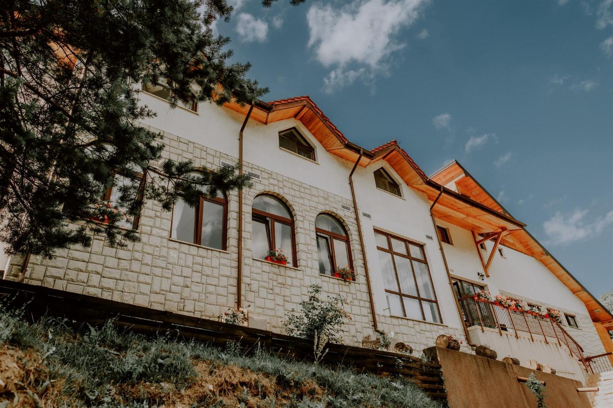 Pensiunea Poiana Verde Slanic Moldova Ngoại thất bức ảnh