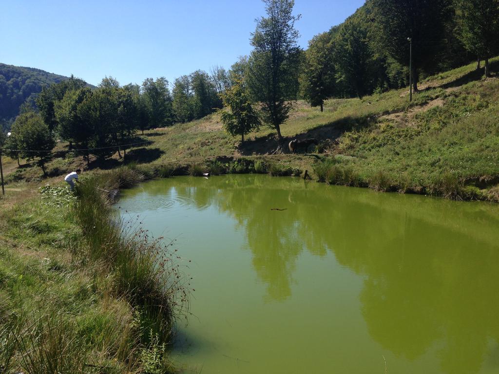 Pensiunea Poiana Verde Slanic Moldova Ngoại thất bức ảnh