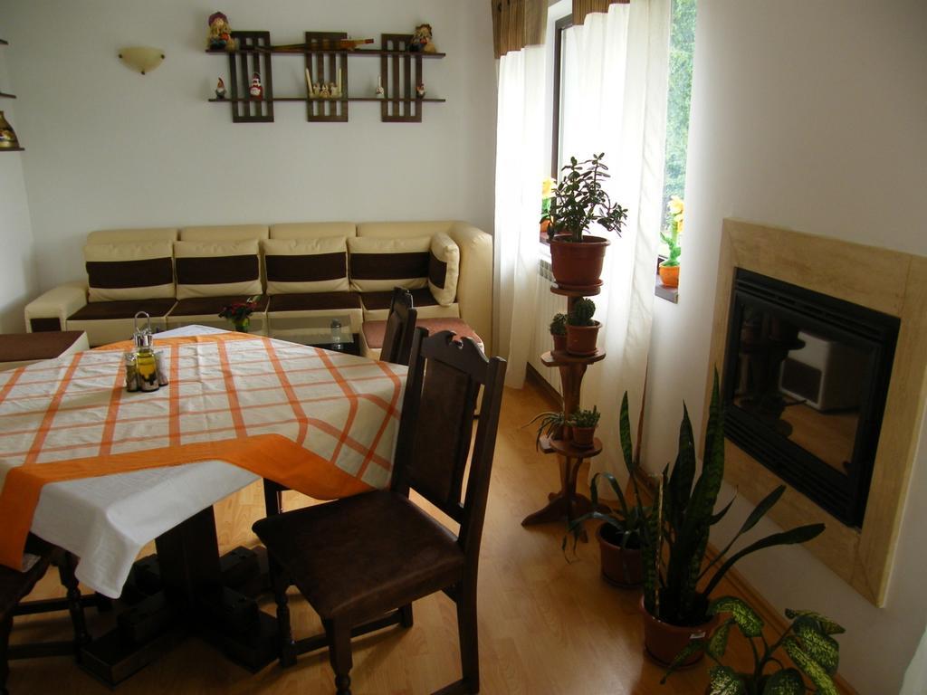 Pensiunea Poiana Verde Slanic Moldova Ngoại thất bức ảnh