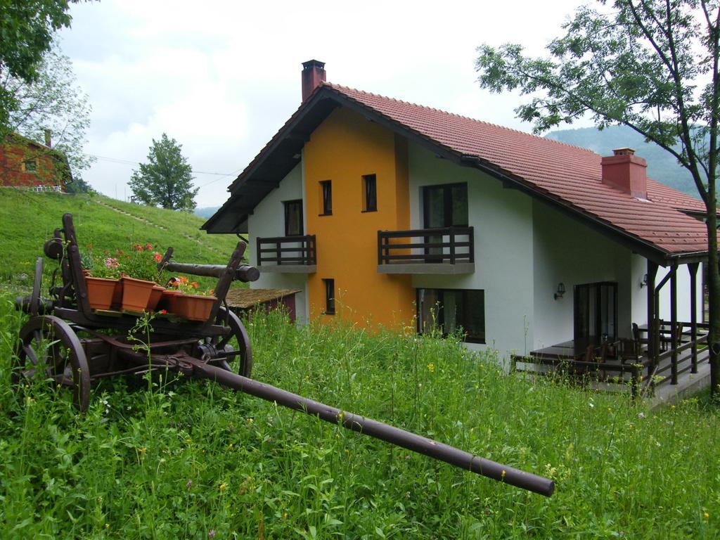 Pensiunea Poiana Verde Slanic Moldova Ngoại thất bức ảnh