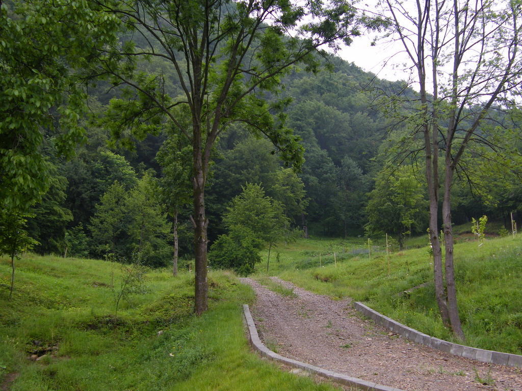Pensiunea Poiana Verde Slanic Moldova Ngoại thất bức ảnh