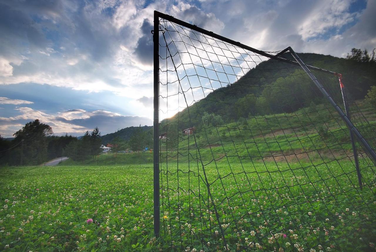 Pensiunea Poiana Verde Slanic Moldova Ngoại thất bức ảnh
